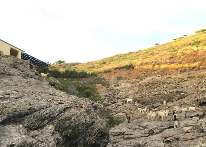 Isola D'elba In Barca, A Un Tuffo Dal Mare Capoliveri (Isola d'Elba)