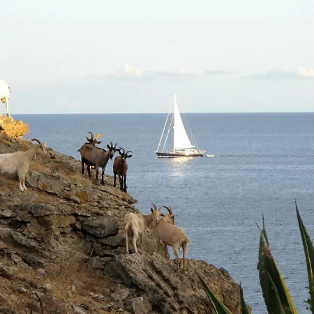 別荘 Isola D'elba In Barca, A Un Tuffo Dal Mare *