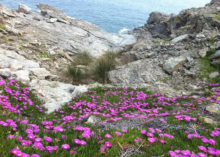 Isola D'elba In Barca, A Un Tuffo Dal Mare Capoliveri (Isola d'Elba)