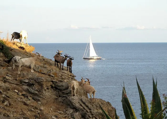 Σπίτι διακοπών Isola D'elba In Barca, A Un Tuffo Dal Mare *